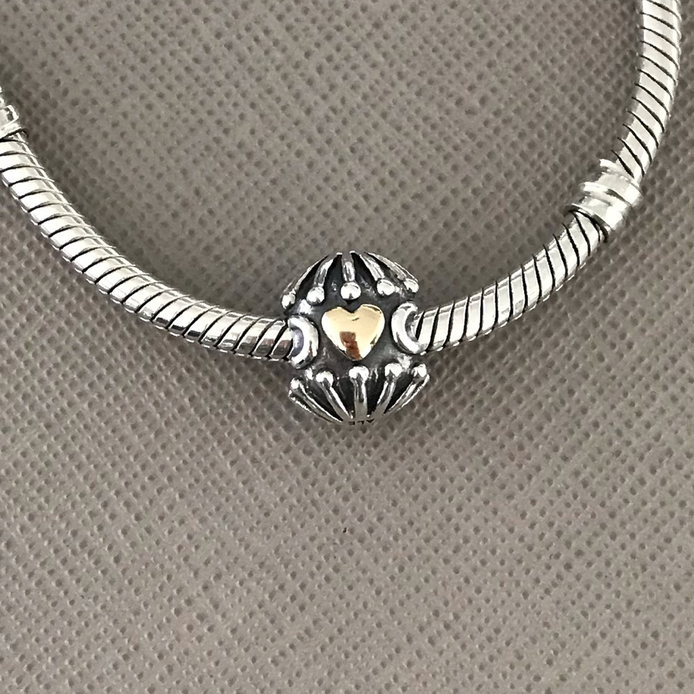 Pandora Two-Tone Love and Hugs Charm